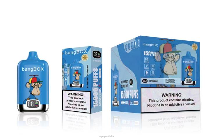 Vape Italia 8RFR46 lampone mirtillo - Bang Box 15000 sbuffi
