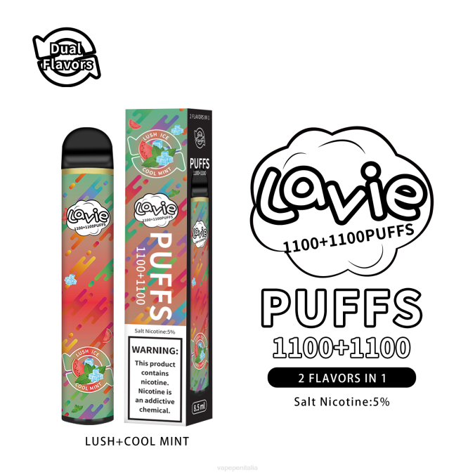 BZR4294 Vape In Italy - menta rigogliosa/fresca LAVIE BAR Switch 2200 sbuffi